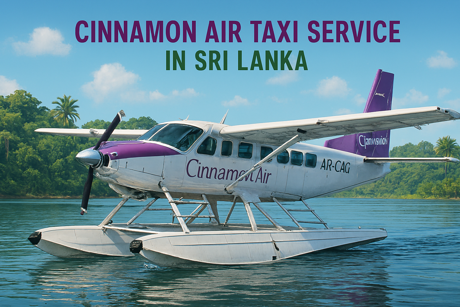 Read more about the article Best Air Taxi : Cinnamon Air
