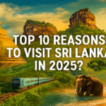 10 Powerful Reasons to Put Sri Lanka on Your 2025 Travel Map