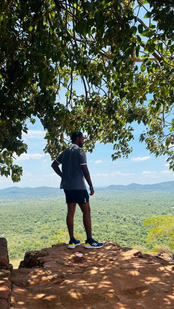 my view from the top