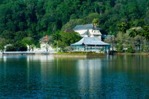 Read more about the article Temple of the Sacred Tooth Relic: Where Devotion Meets Dynasty