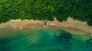 Read more about the article Top 10 Beaches in Sri Lanka: Your Complete 2026 Travel Guide