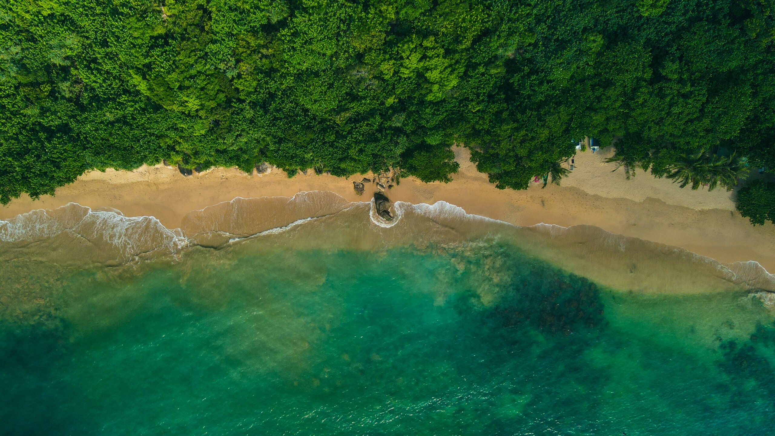 Read more about the article Top 10 Beaches in Sri Lanka: Your Complete 2026 Travel Guide