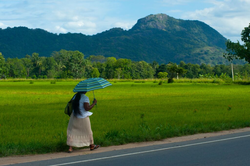 25 Things First-Time Visitors Should Know Before Visiting Sri Lanka 2 visit sri lanka