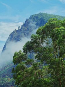 Read more about the article 25 Things First-Time Visitors Should Know Before Visiting Sri Lanka