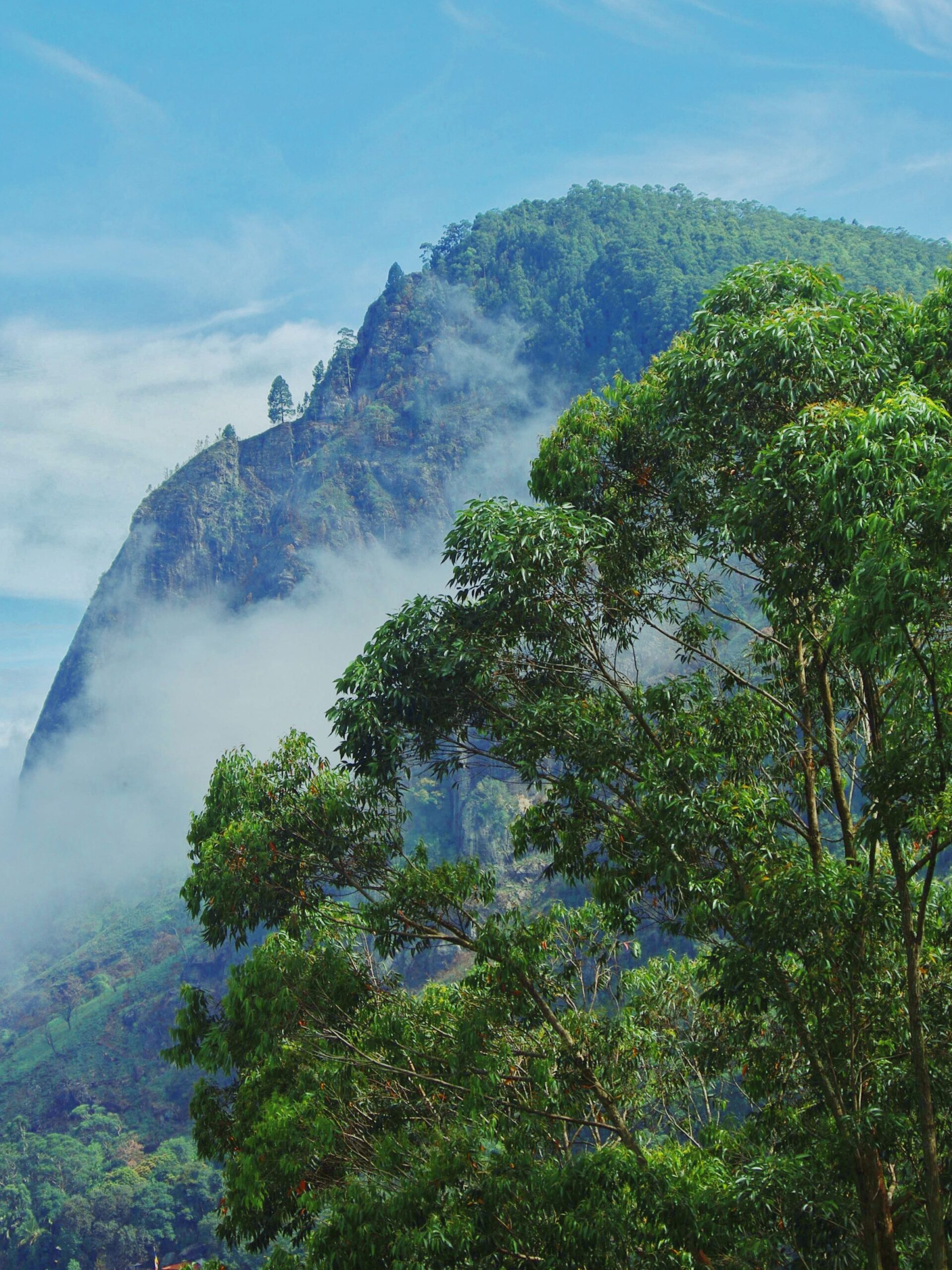 You are currently viewing 25 Things First-Time Visitors Should Know Before Visiting Sri Lanka